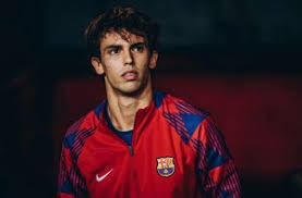 《崩坏：星穹铁道》萌萌哒的小海豹，竟是新一届的“梗王”？